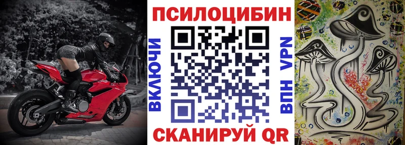 Галлюциногенные грибы прущие грибы  Ахтубинск 